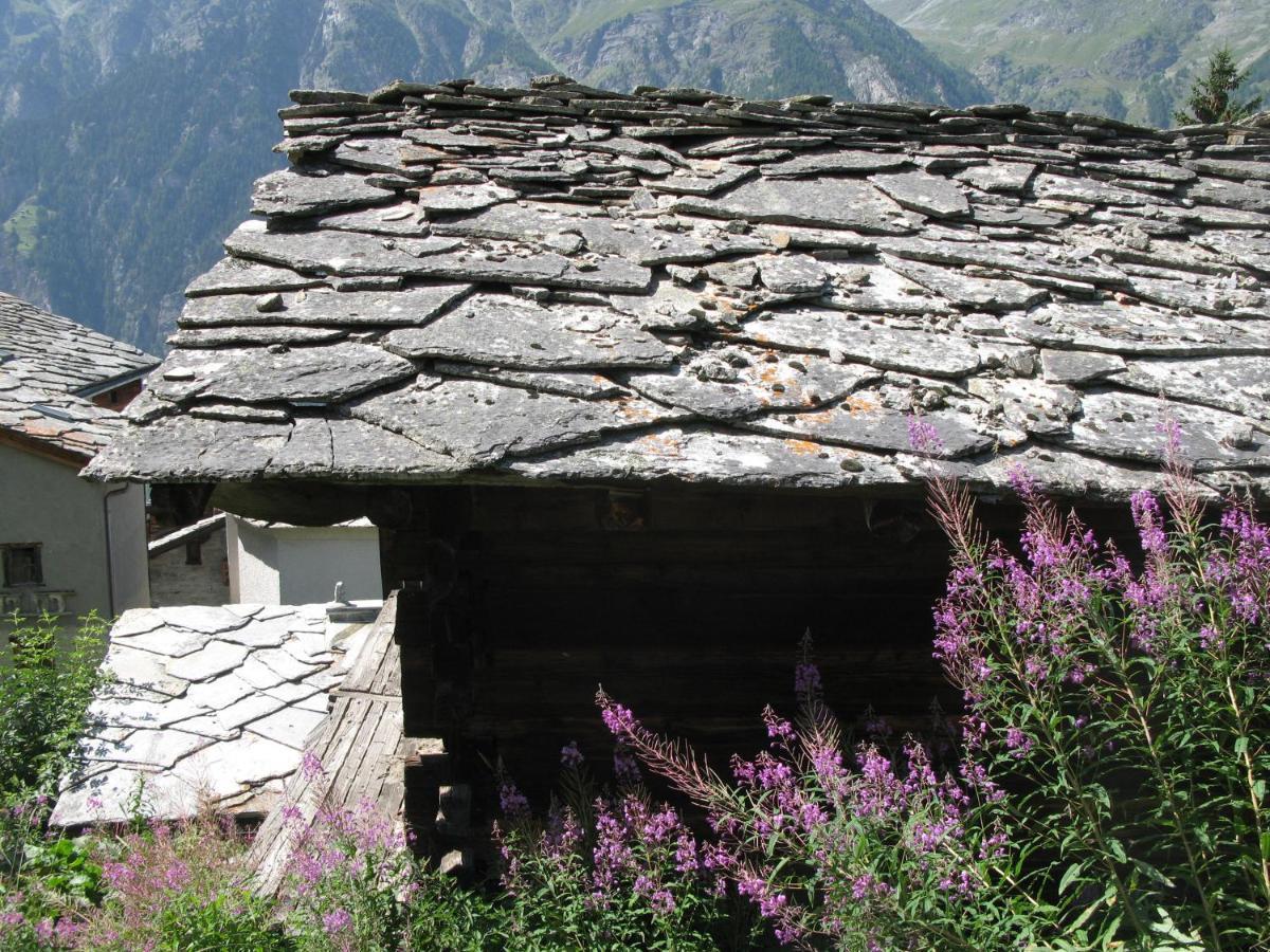 Alpia 26 - Zwei Zimmerwohnung In Traditionellem Walliser Haus Gasenried Exterior photo
